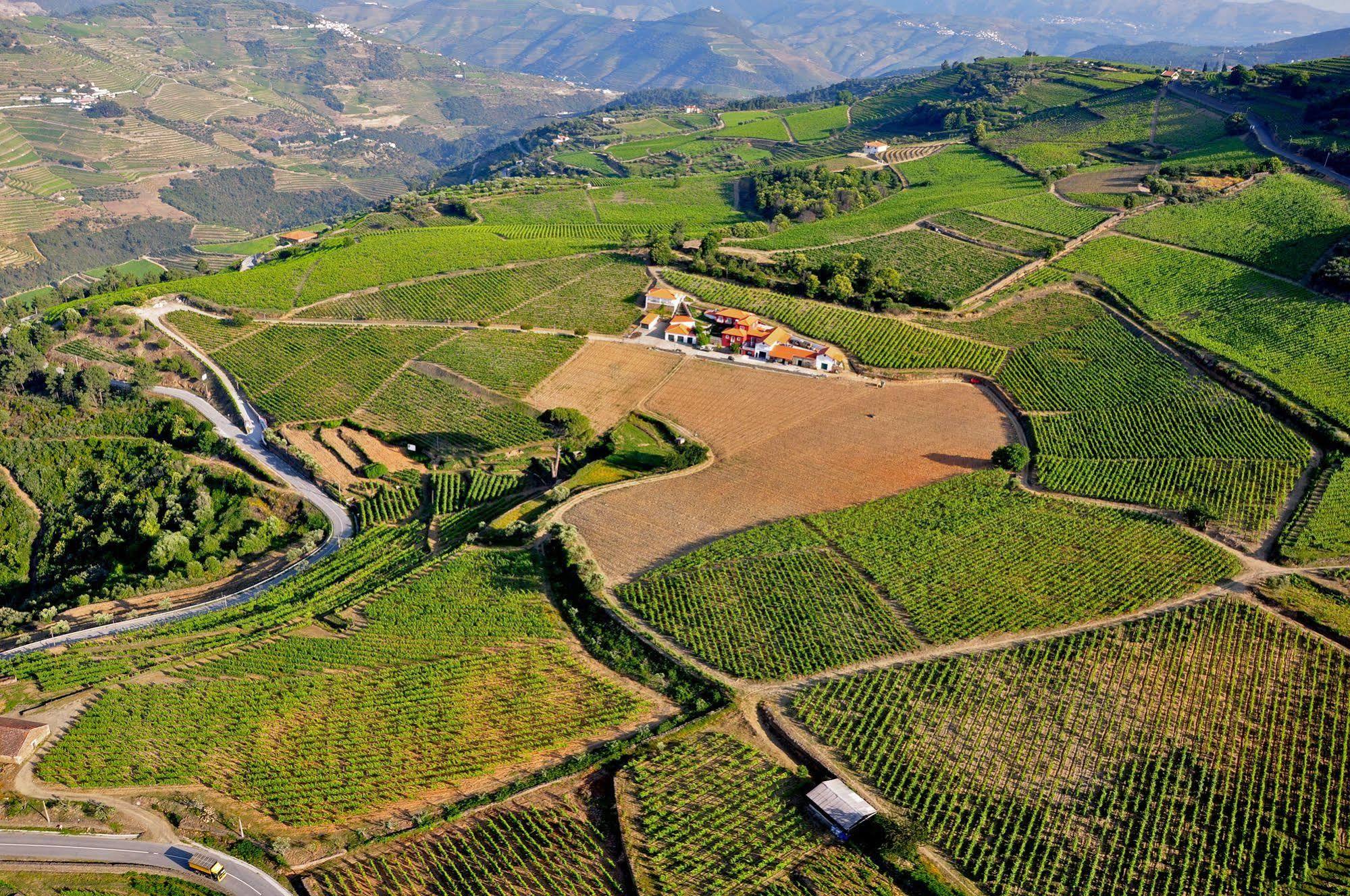 Quinta dos Espinheiros Provesende Exterior foto