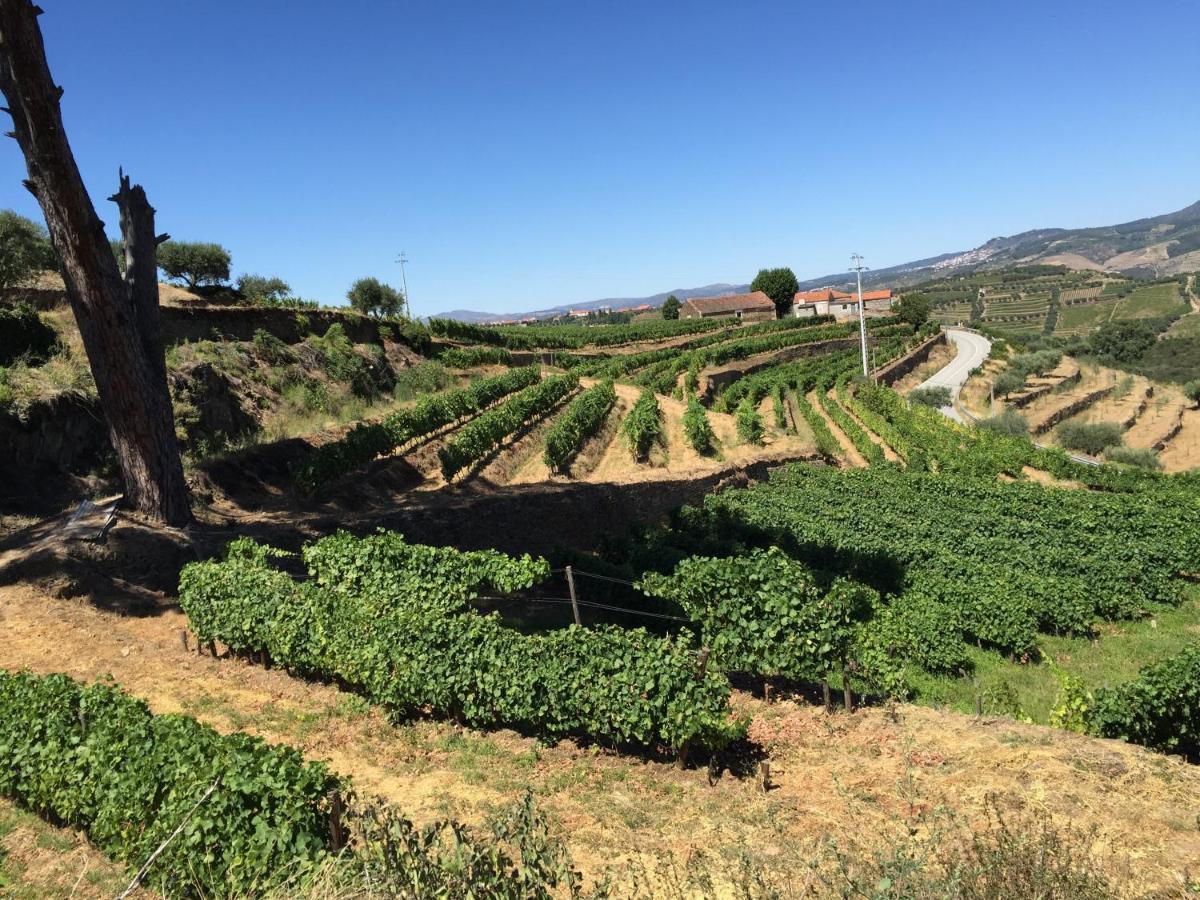 Quinta dos Espinheiros Provesende Quarto foto